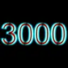 3000